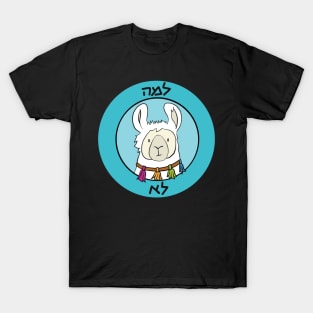 Dviki - Llama Lo T-Shirt